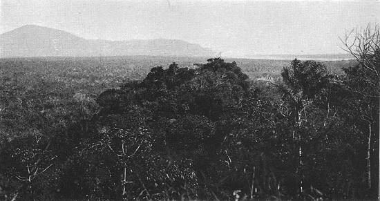 Clique na imagem para ampli�-la