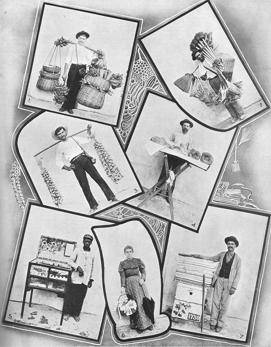 Clique na imagem para ampli�-la