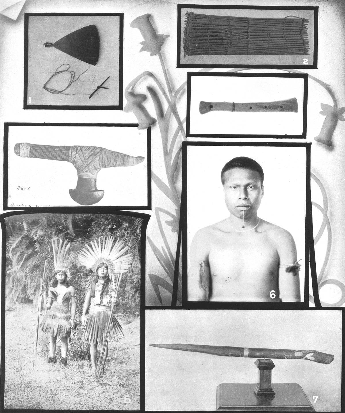 Clique na imagem para reduzi-la