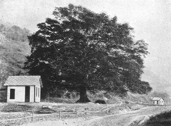 Clique na imagem para ampli�-la