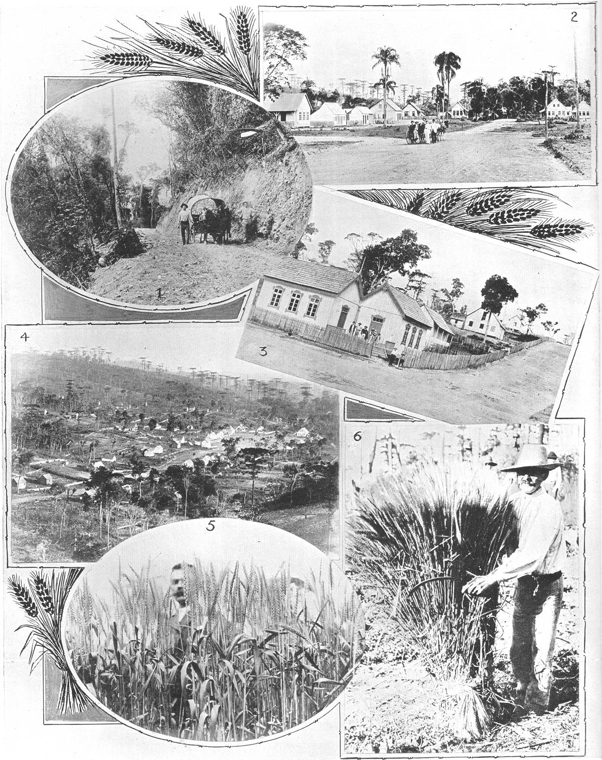 Clique na imagem para reduzi-la