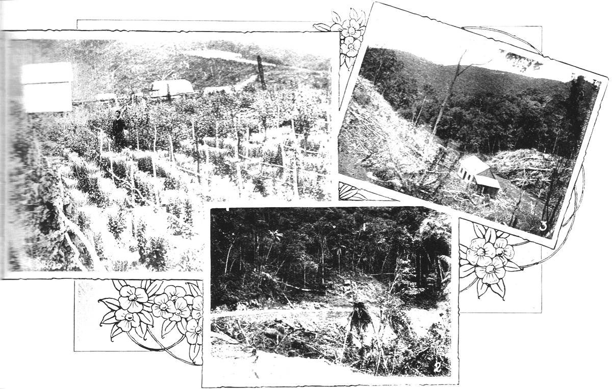 Clique na imagem para reduzi-la