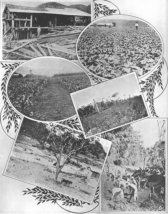 Clique na imagem para ampli�-la