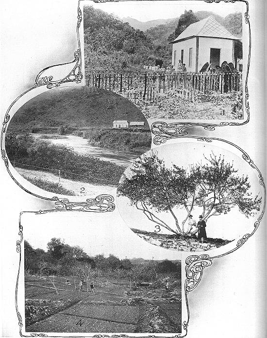 Clique na imagem para ampli�-la