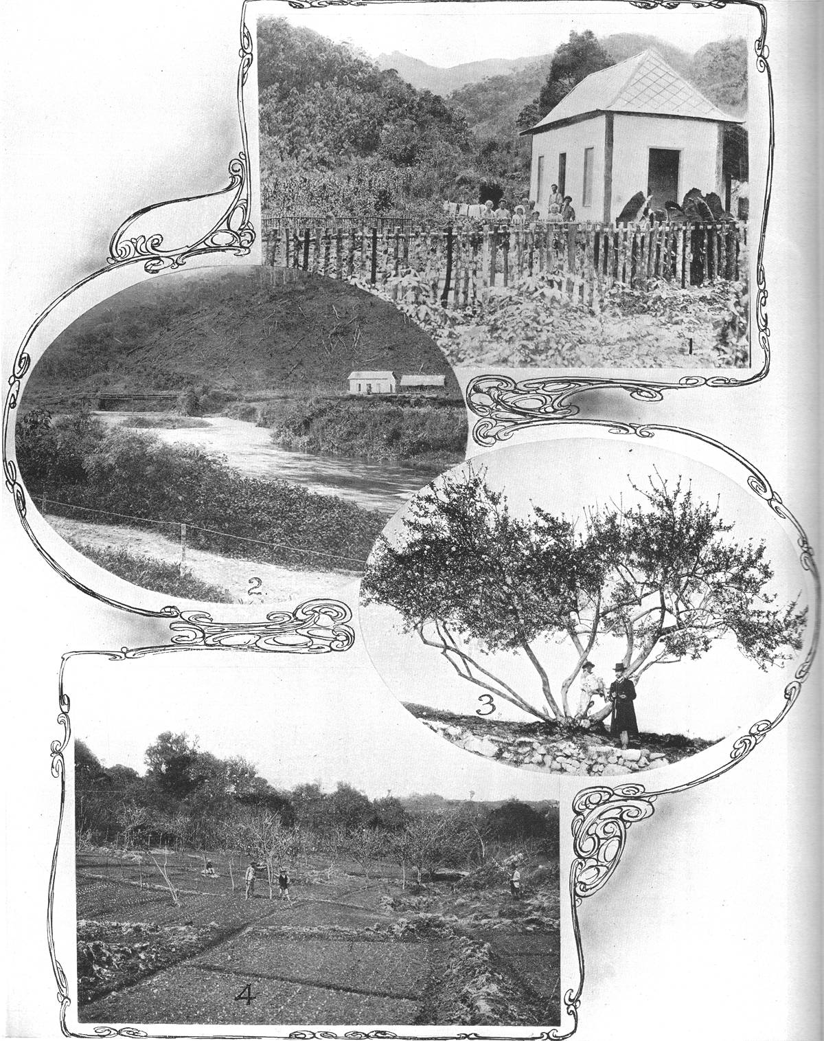 Clique na imagem para reduzi-la