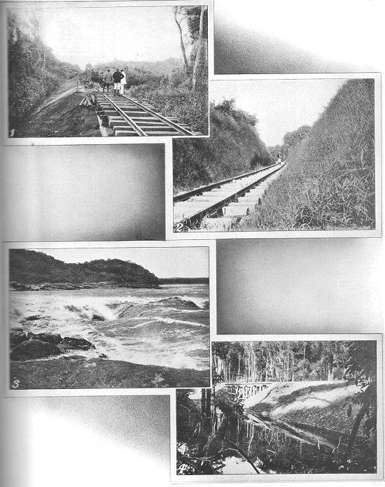 Clique na imagem para ampliá-la