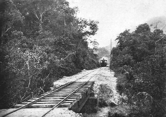 Clique na imagem para ampliá-la