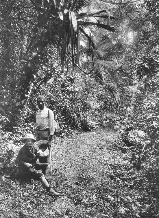 Clique na imagem para ampliá-la