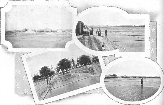 Clique na imagem para ampliá-la