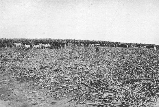 Clique na imagem para ampli�-la