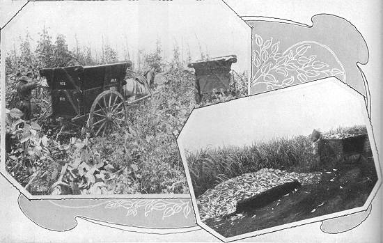 Clique na imagem para ampli�-la