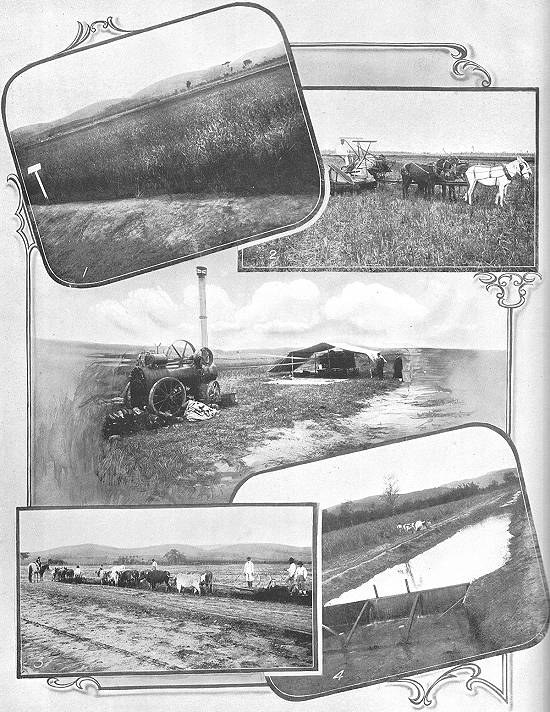 Clique na imagem para ampli�-la