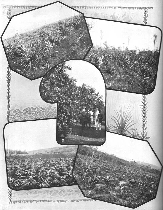 Clique na imagem para ampli�-la