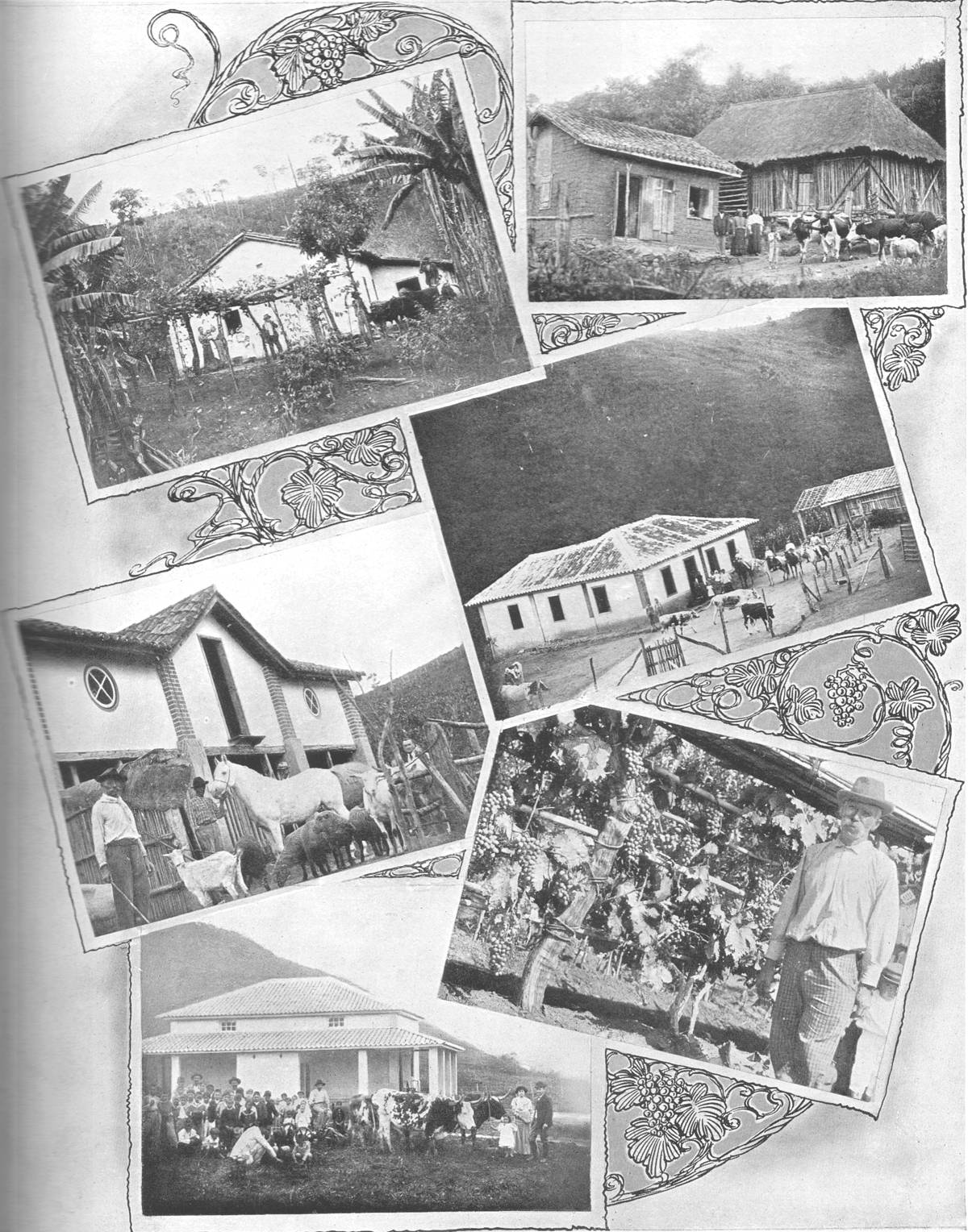 Clique na imagem para reduzi-la