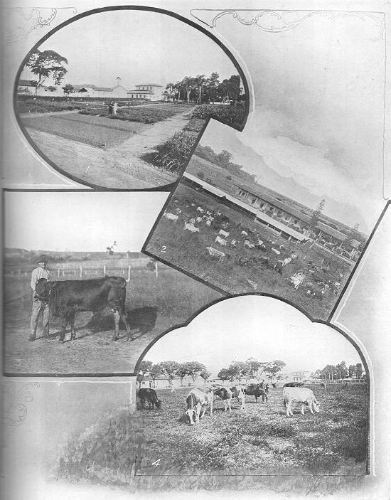 Clique na imagem para ampli�-la