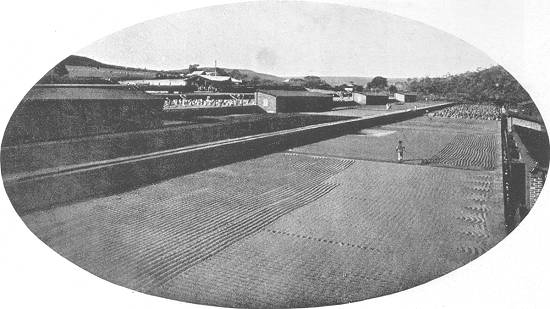 Clique na imagem para ampliá-la