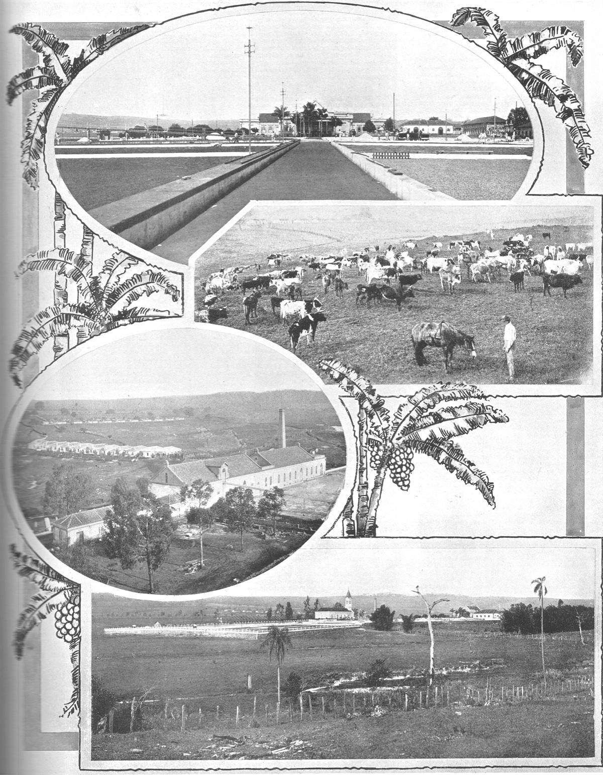 Clique na imagem para reduzi-la