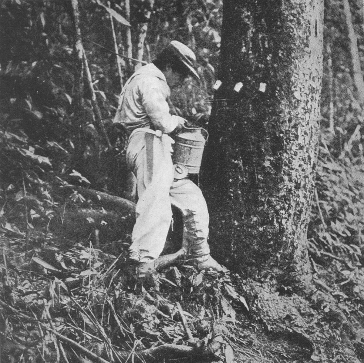 Clique na imagem para reduzi-la