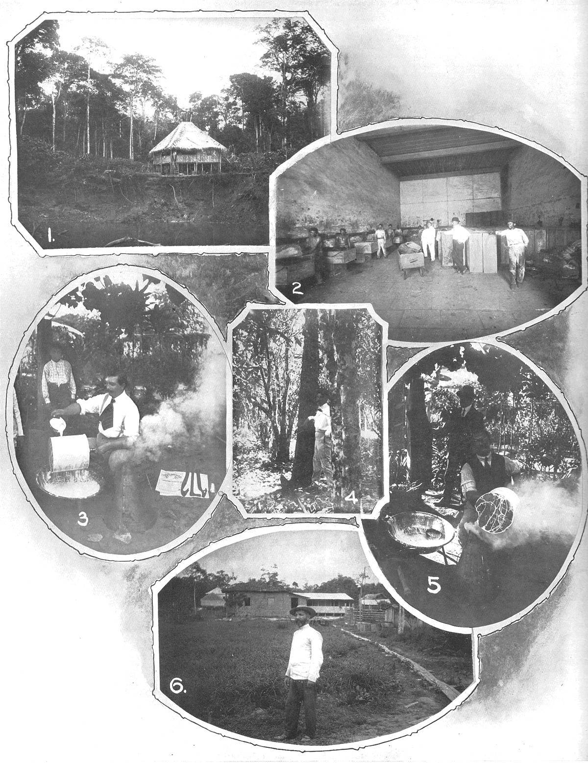 Clique na imagem para reduzi-la