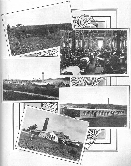 Clique na imagem para ampli�-la