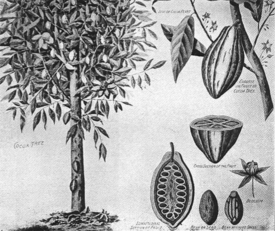 Clique na imagem para ampliá-la