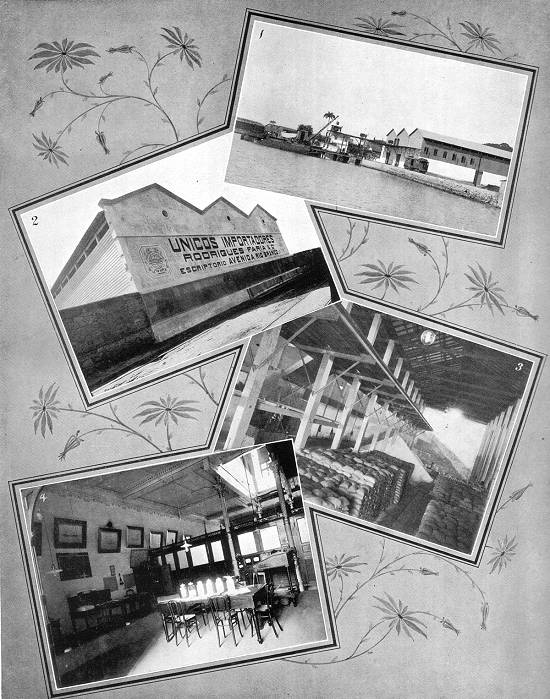 Clique na imagem para ampli�-la