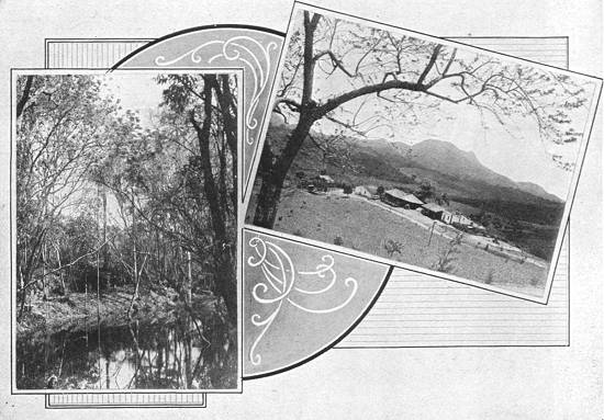 Clique na imagem para ampli�-la