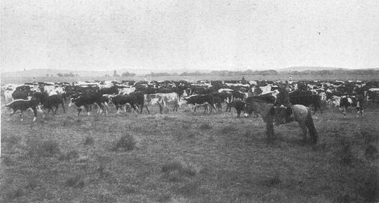 Clique na imagem para ampli�-la