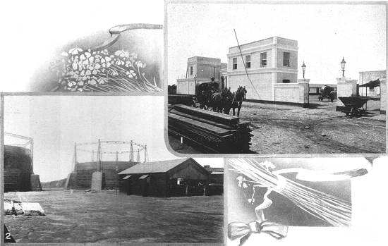 Clique na imagem para ampli�-la