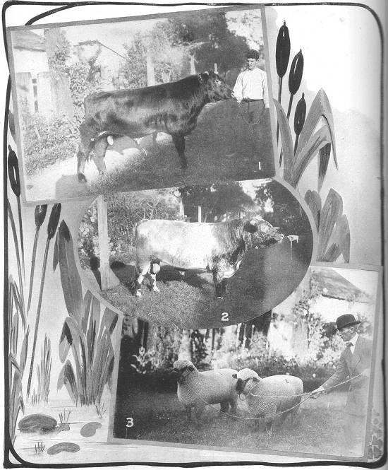 Clique na imagem para ampli�-la