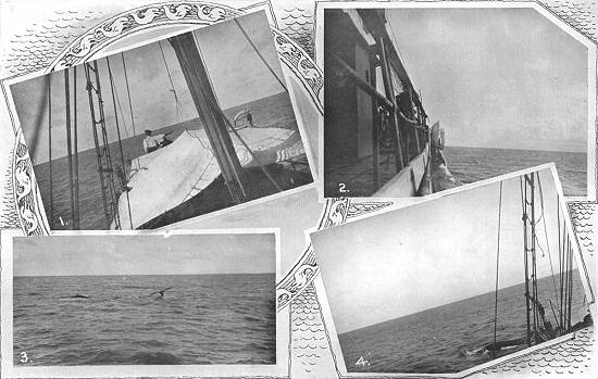 Clique na imagem para ampli�-la