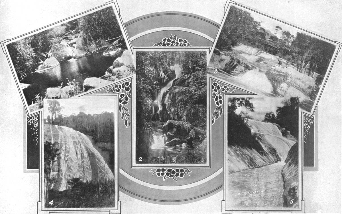 Clique na imagem para reduzi-la