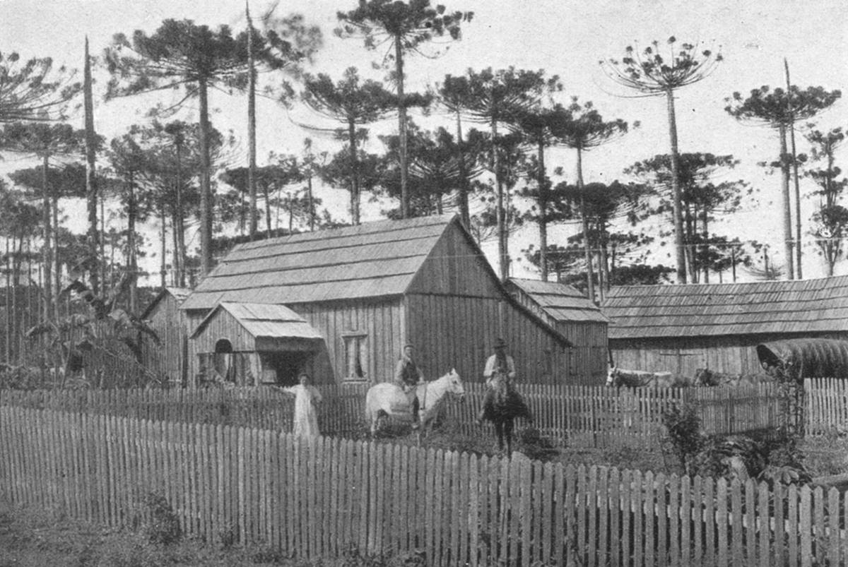 Clique na imagem para reduzi-la