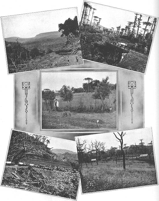 Clique na imagem para ampli�-la