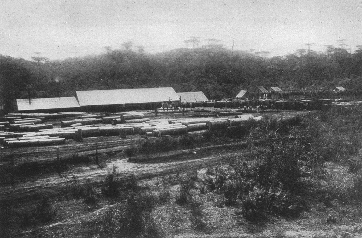 Clique na imagem para reduzi-la