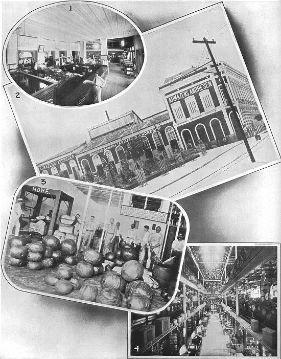 Clique na imagem para ampli�-la