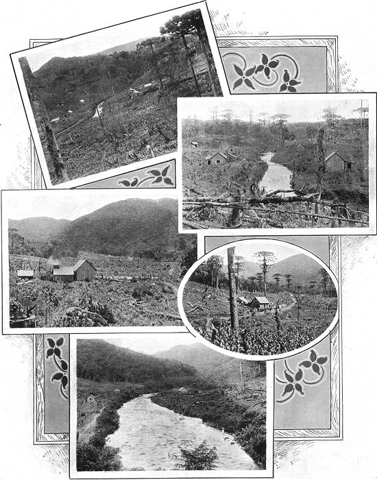 Clique na imagem para ampliá-la