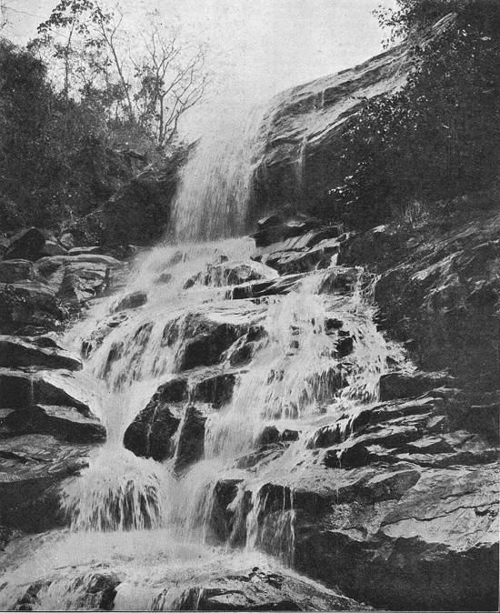 Clique na imagem para ampli�-la