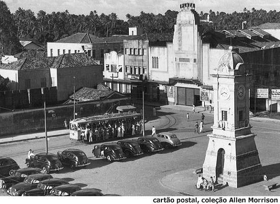 Foto cedida pelo pesquisador norte-americano Allen Morrison