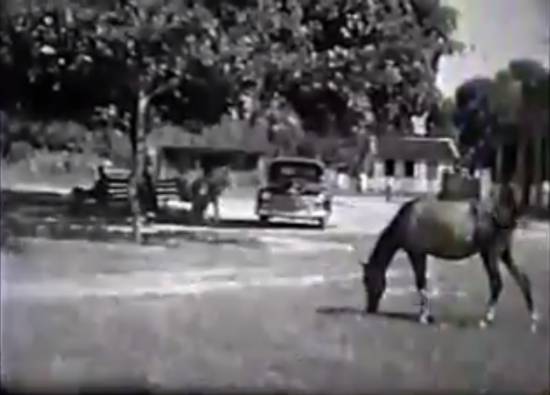 Clique na imagem para obter o v�deo