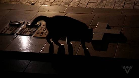 Clique na imagem para obter o v�deo em formato MP4