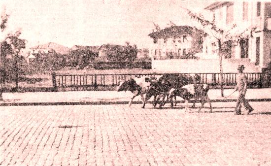 Em 1941, at� os animais podiam andar calmamente pela Avenida Marechal Deodoro (Foto cedida por Piraj� Oliveira)