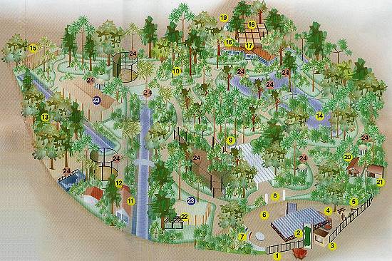 Clique na imagem para ampli�-la