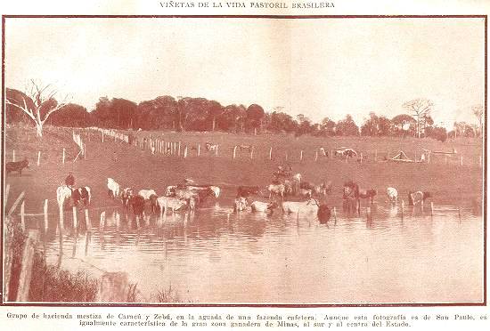 Clique na imagem para ampli�-la