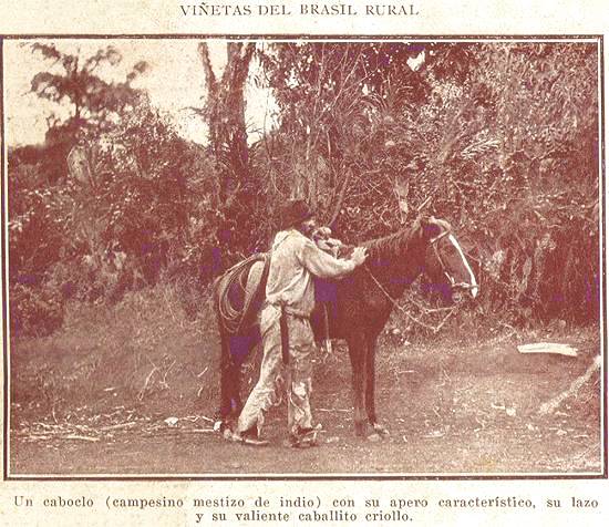 Clique na imagem para ampli�-la