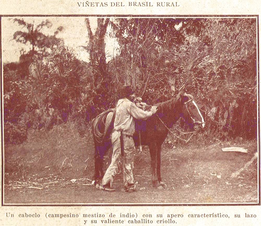 Clique aqui para reduzir a imagem