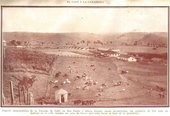 Clique na imagem para ampli�-la