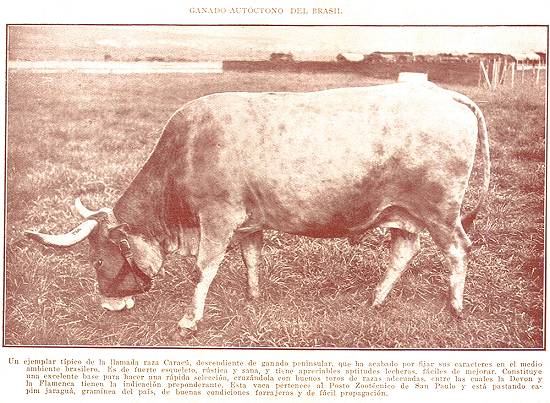 Clique na imagem para ampli�-la