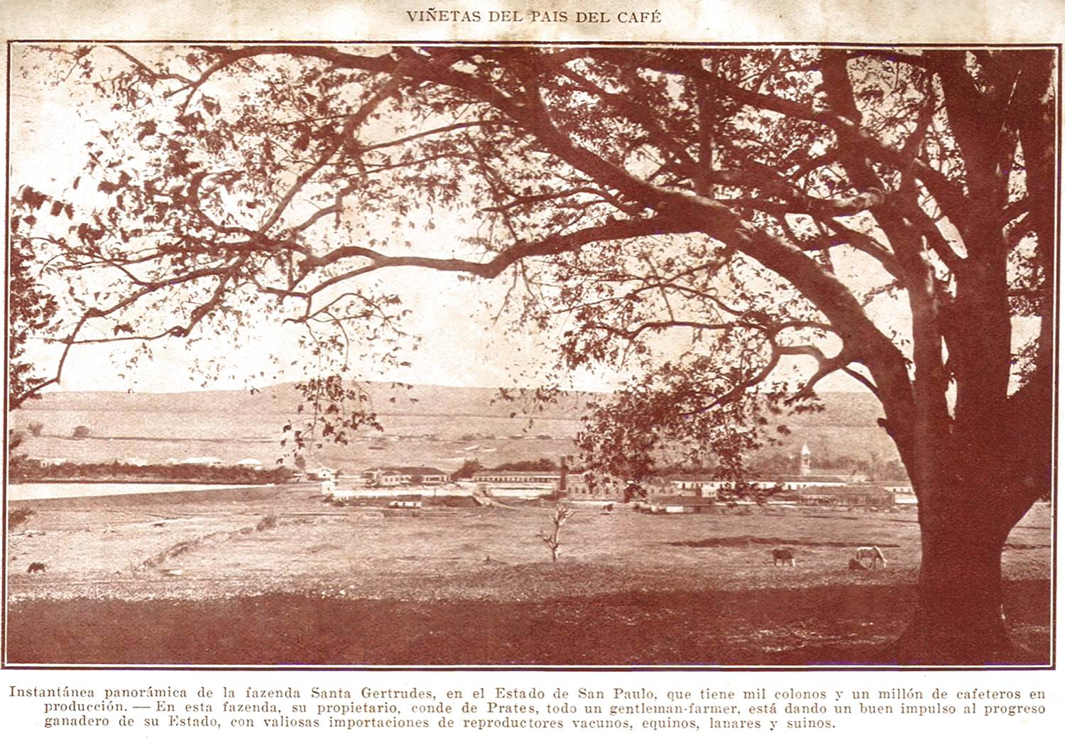 Clique aqui para reduzir a imagem