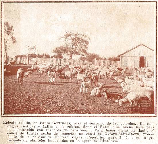 Clique na imagem para ampli�-la